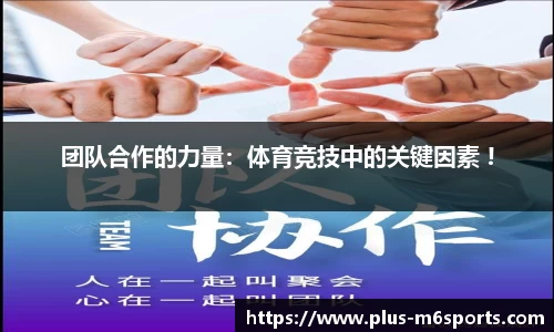 米乐m6